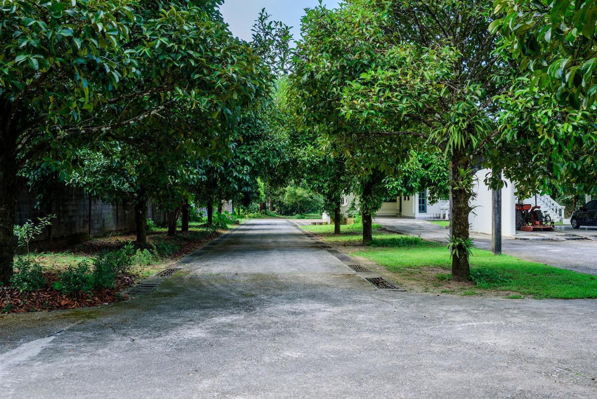 Bann Mangkud Khaolak Villa Khao Lak Bagian luar foto